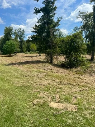 $75,000 | 160 Branchwood Drive, Livingston, TX 77351