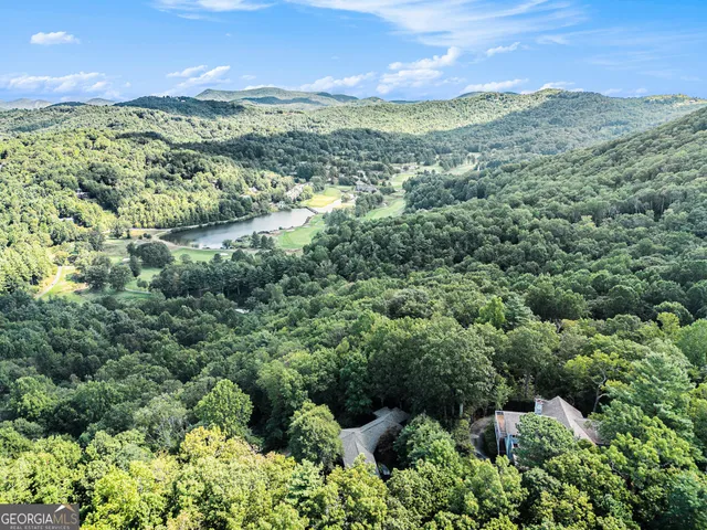 a view of a lush green hillside and houses