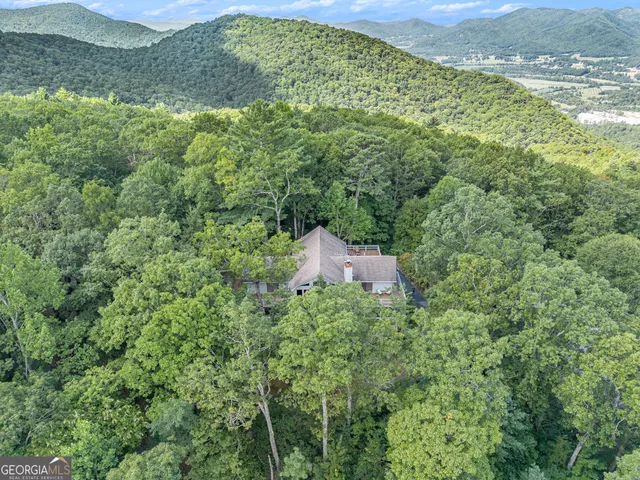 a view of a forest with a houses