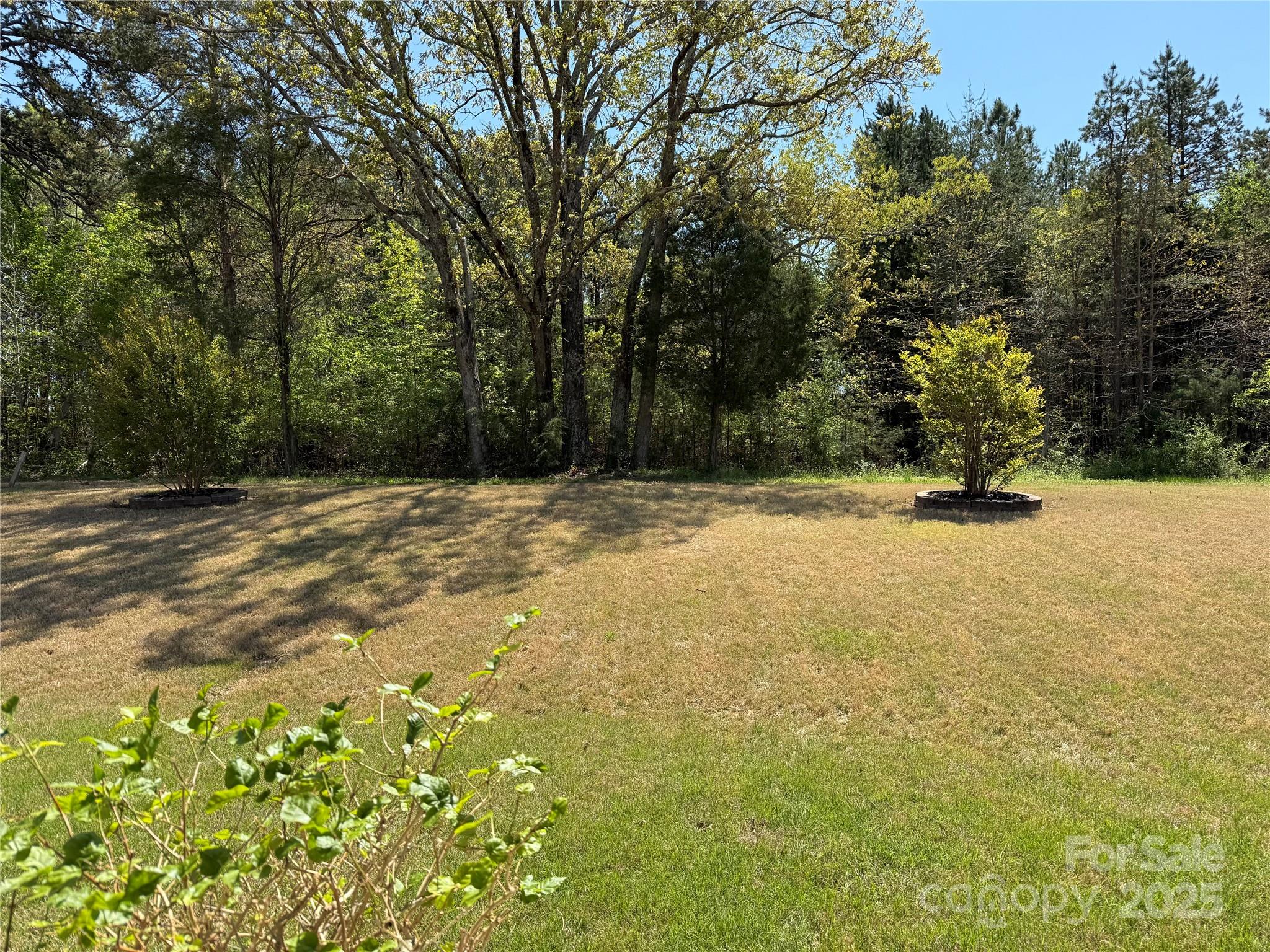 9895 Travertine Trail Davidson, NC 28036 - Photo 41 of 48 a view of a yard with a trees