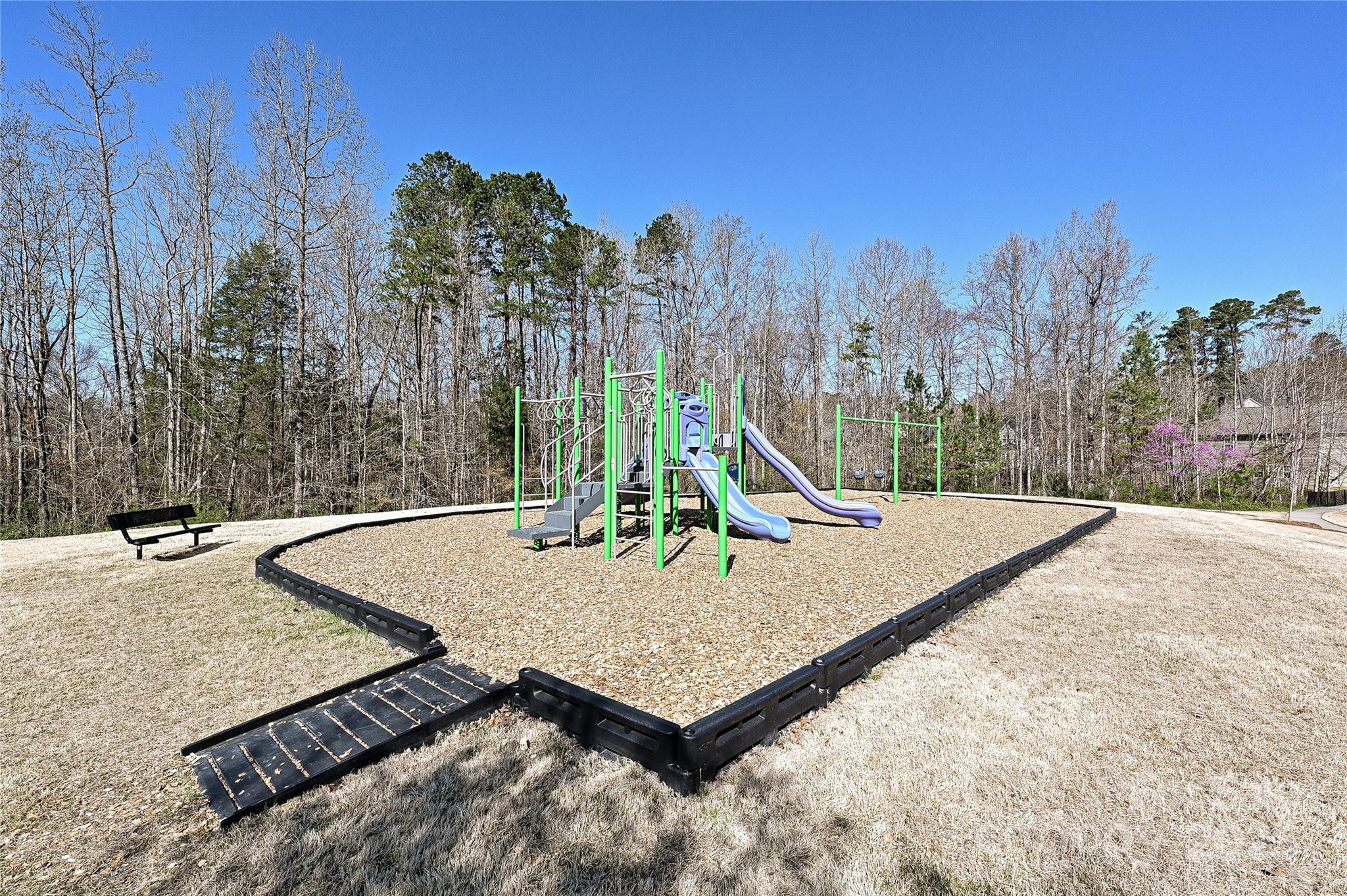 9895 Travertine Trail Davidson, NC 28036 - Photo 47 of 48 a view of a backyard with tree