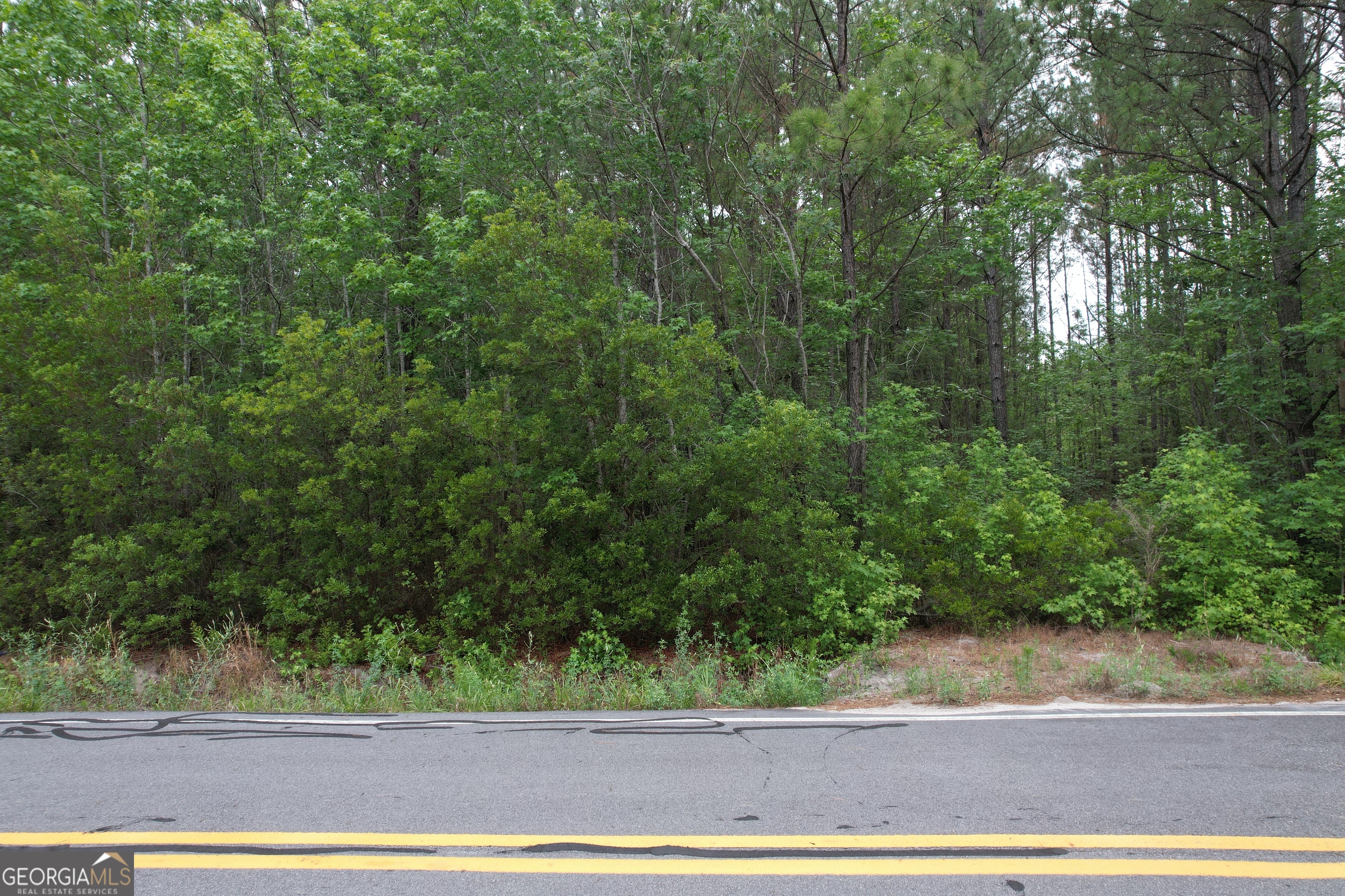 1.5-acres Mt Pleasant Road Clyo, GA 31303 - Photo 15 of 19