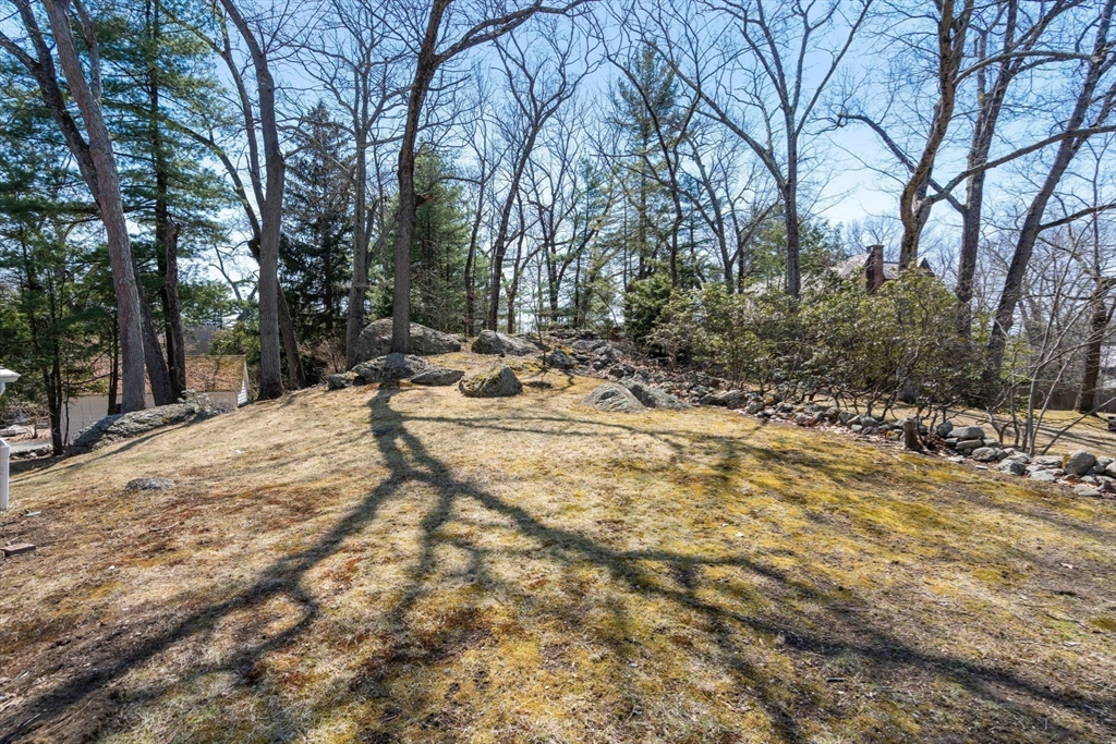 29 Gammons Road Newton, MA 02468 - Photo 38 of 39