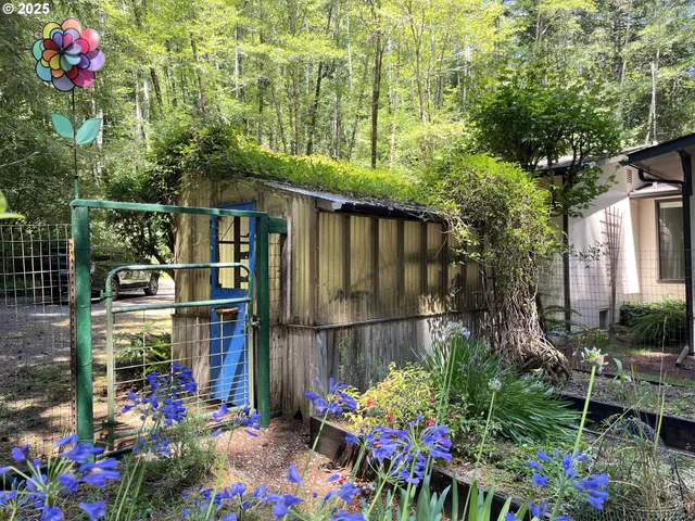 a view of backyard with potted plants and a large tree