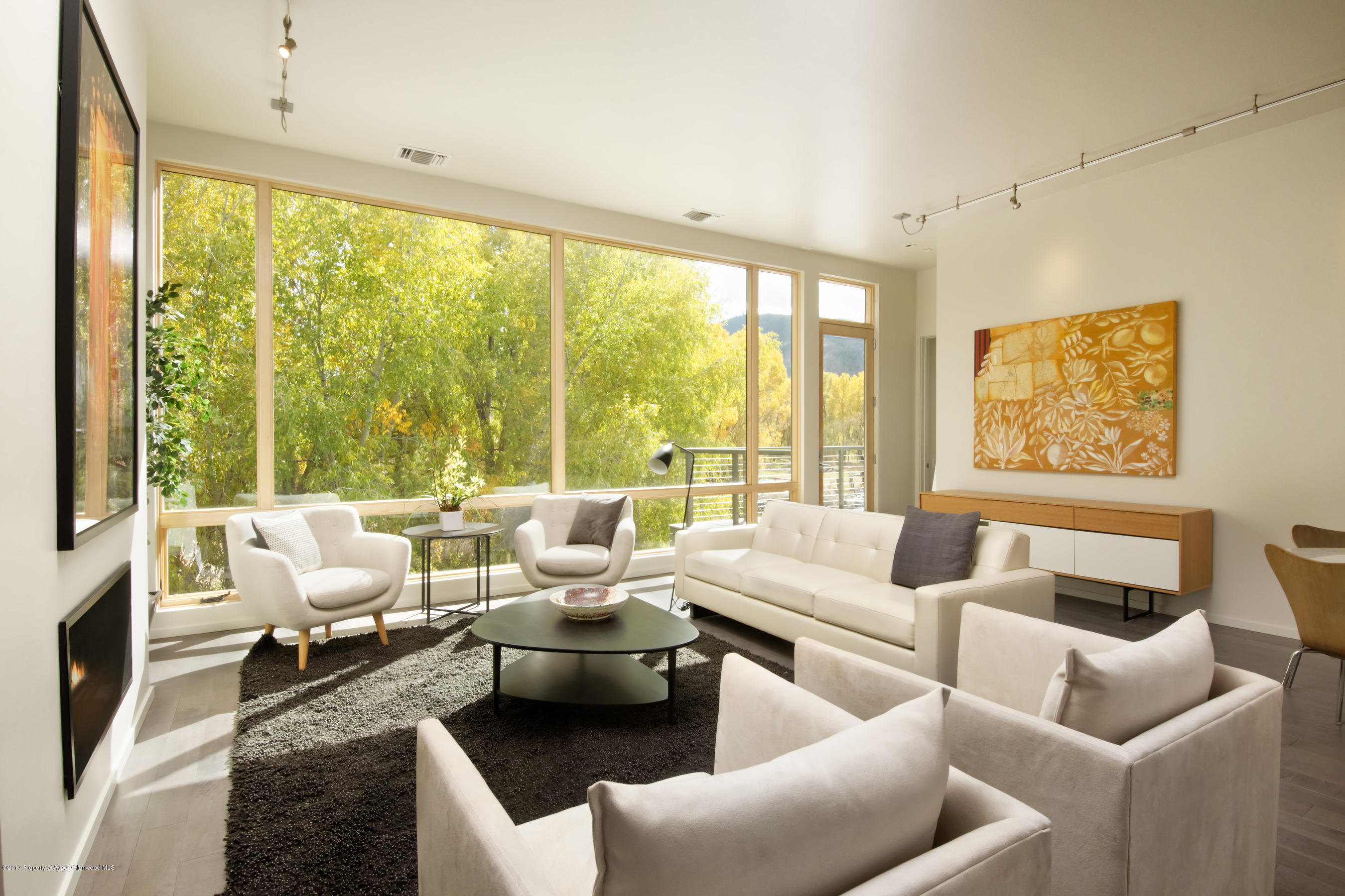 102 Evans Road, Unit 107 Basalt, CO 81621 - Photo 9 of 62 a living room with furniture and a large window