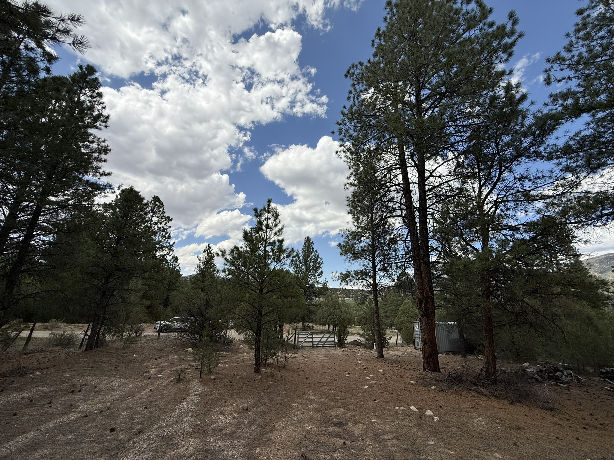 2318 Old Red River Road Questa, NM 87556 - Photo 32 of 36