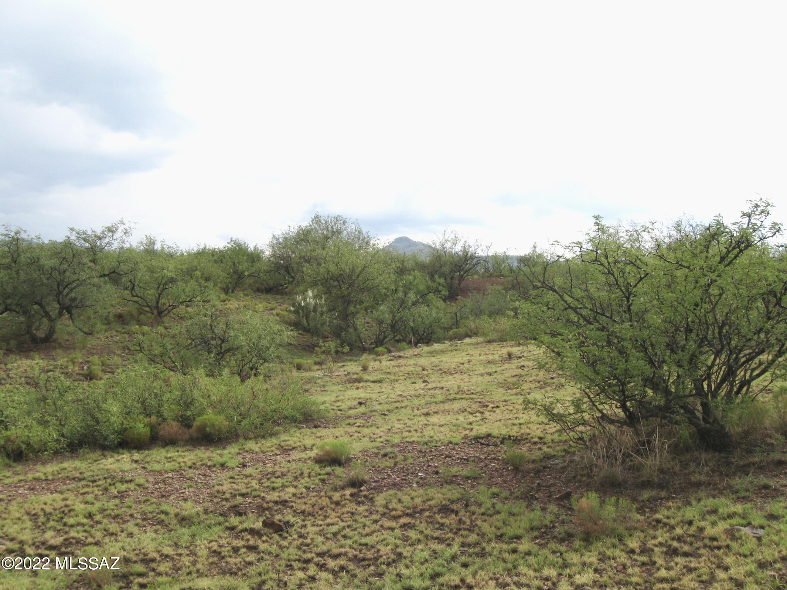 Lot 316 High Point Ranch Willcox, AZ 85643 - Photo 9 of 12 Gallery Image 9