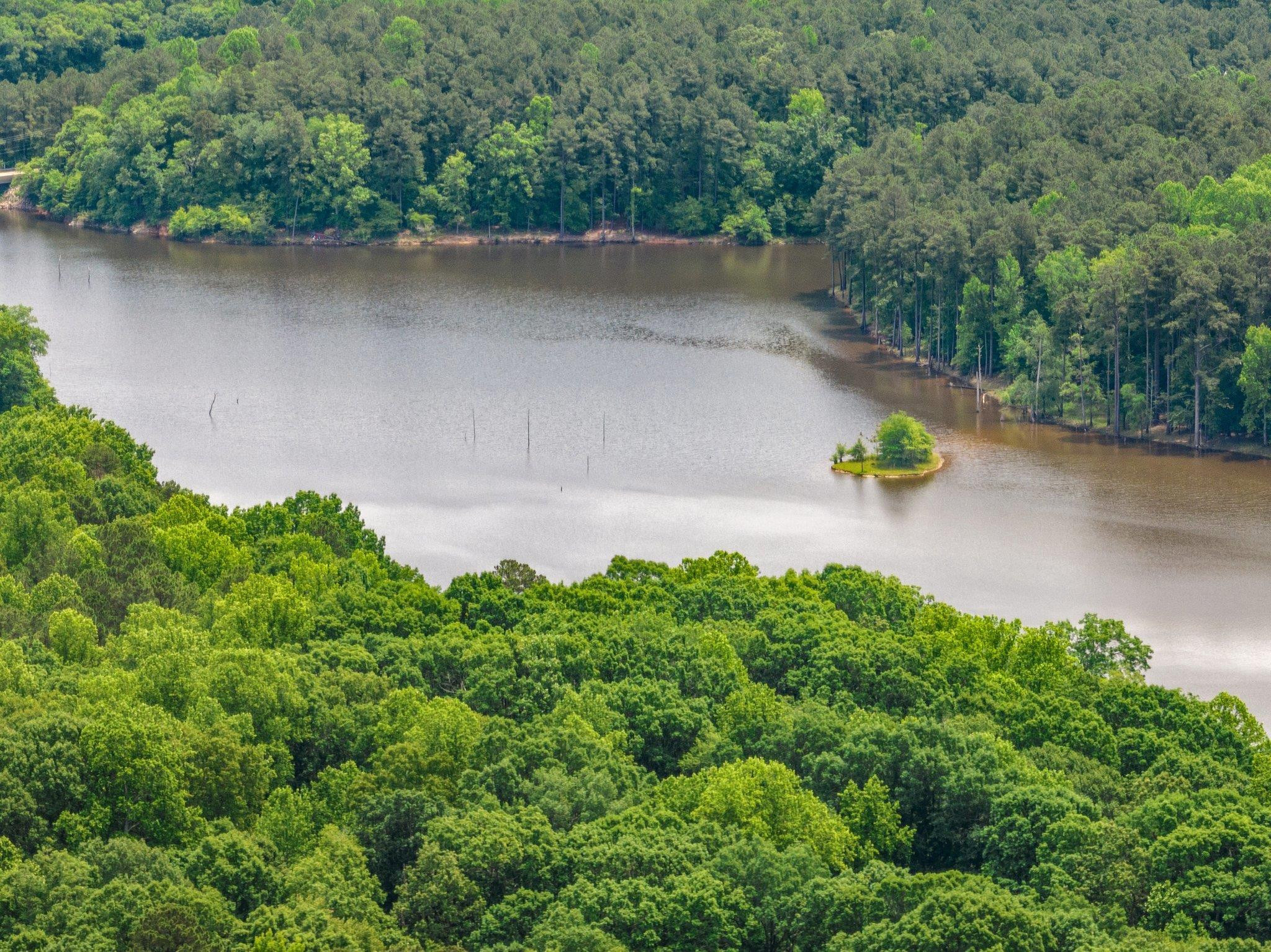 6321 Swallow Cove Lane Raleigh, NC 27614 - Photo 5 of 72 Photo 5