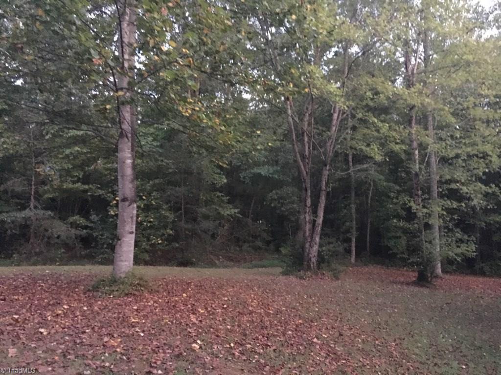 160 Hartgrove Road King, NC 27021 - Photo 4 of 11
