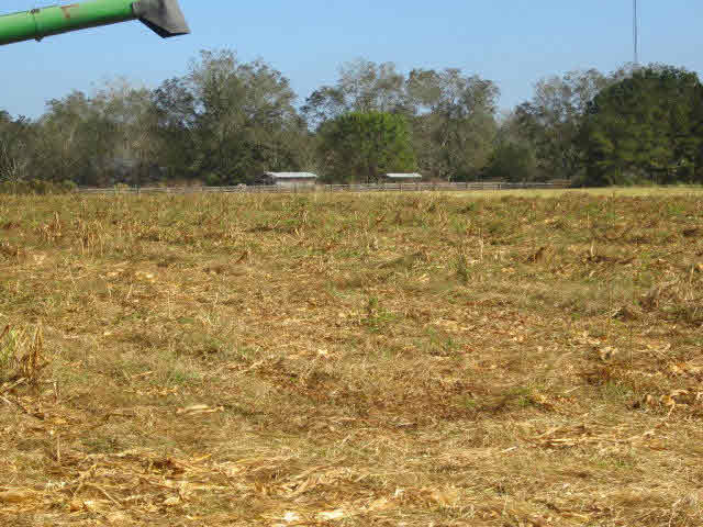 0 North N Highway North Elberta, AL 36530 - Photo 2 of 2