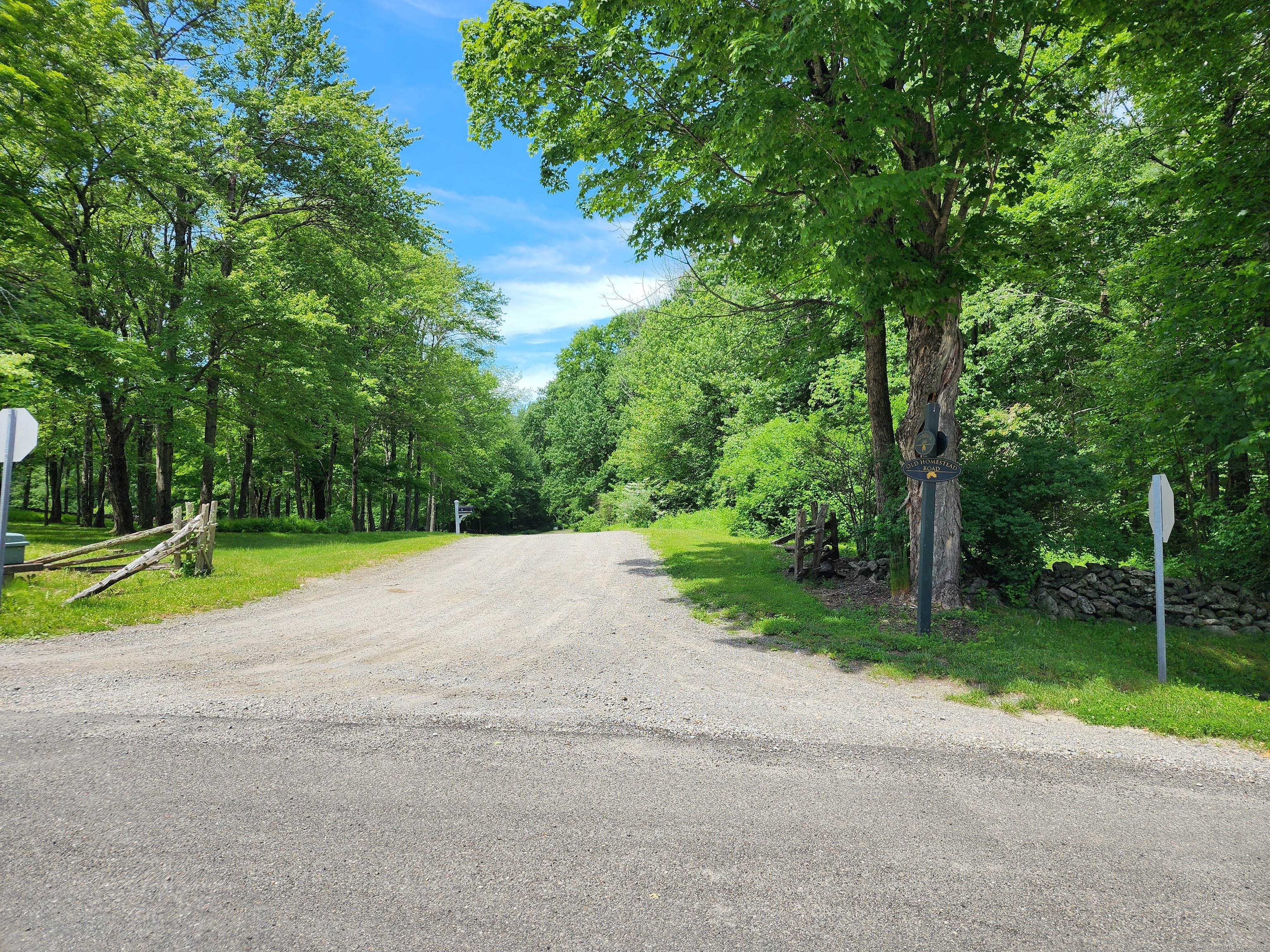 11 Old Paddock Lane Kent, CT 06785 - Photo 2 of 7 a view of a park with large trees