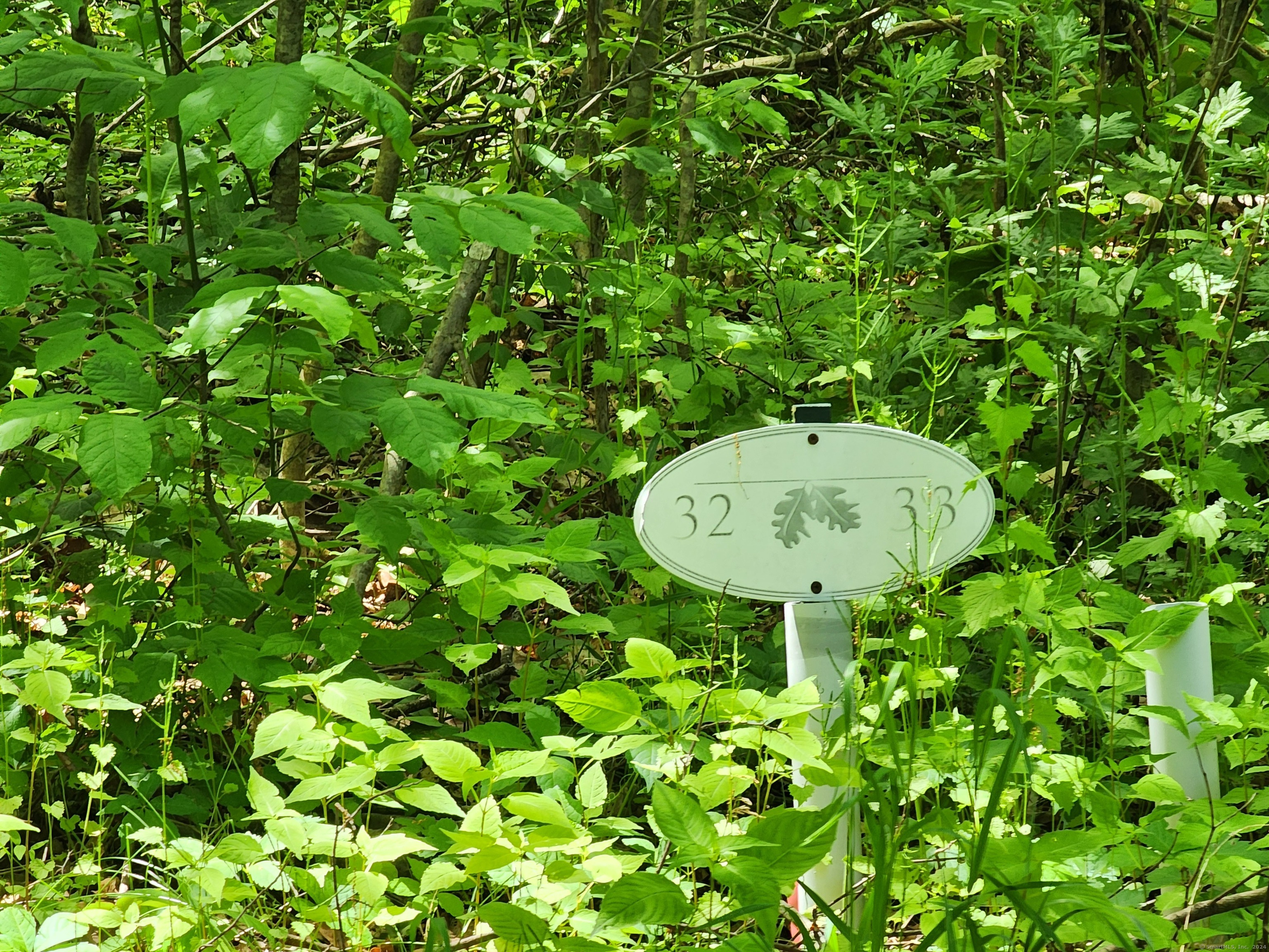 11 Old Paddock Lane Kent, CT 06785 - Photo 3 of 7 a view of a back yard