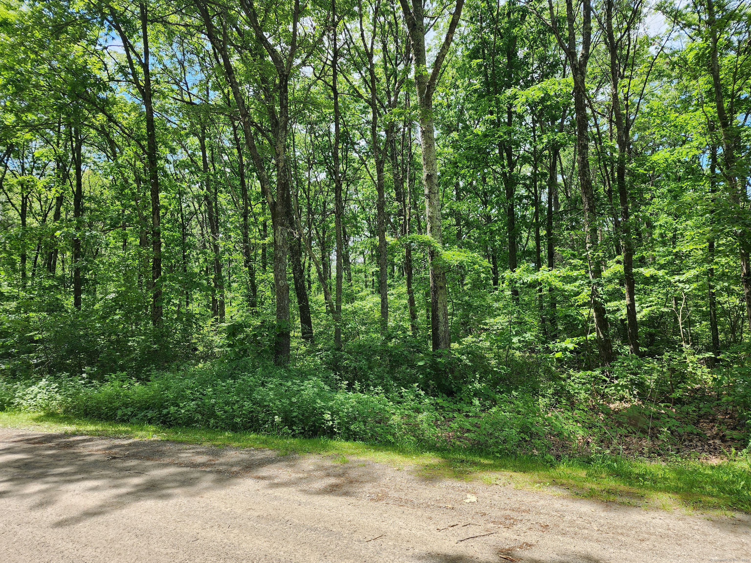 11 Old Paddock Lane Kent, CT 06785 - Photo 6 of 7 a view of a yard with plants and trees