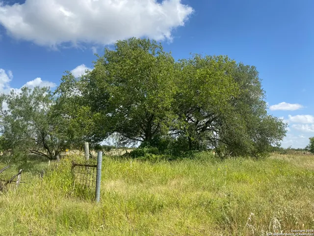 $405,450 | 1662 Sand Branch, Bigfoot, TX 78005