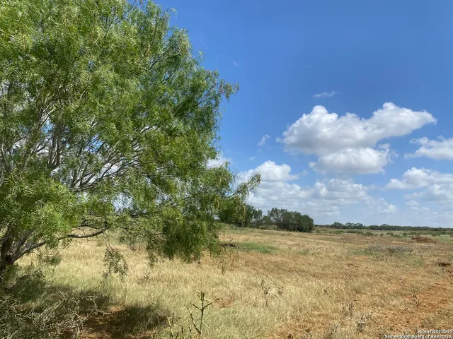 $405,450 | 1662 Sand Branch, Bigfoot, TX 78005