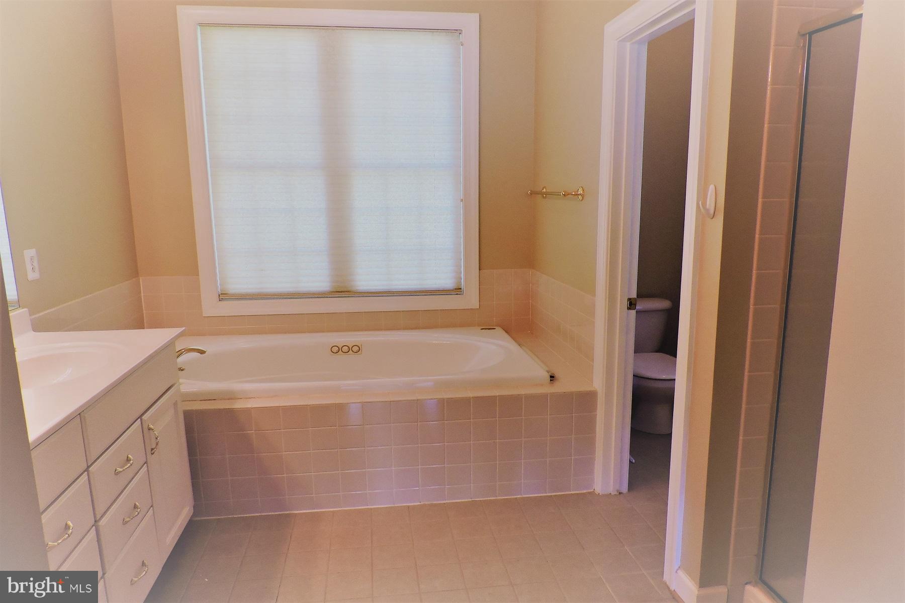 30390 Catharpin Road Locust Grove, VA 22508 - Photo 12 of 27 Bath (Master)