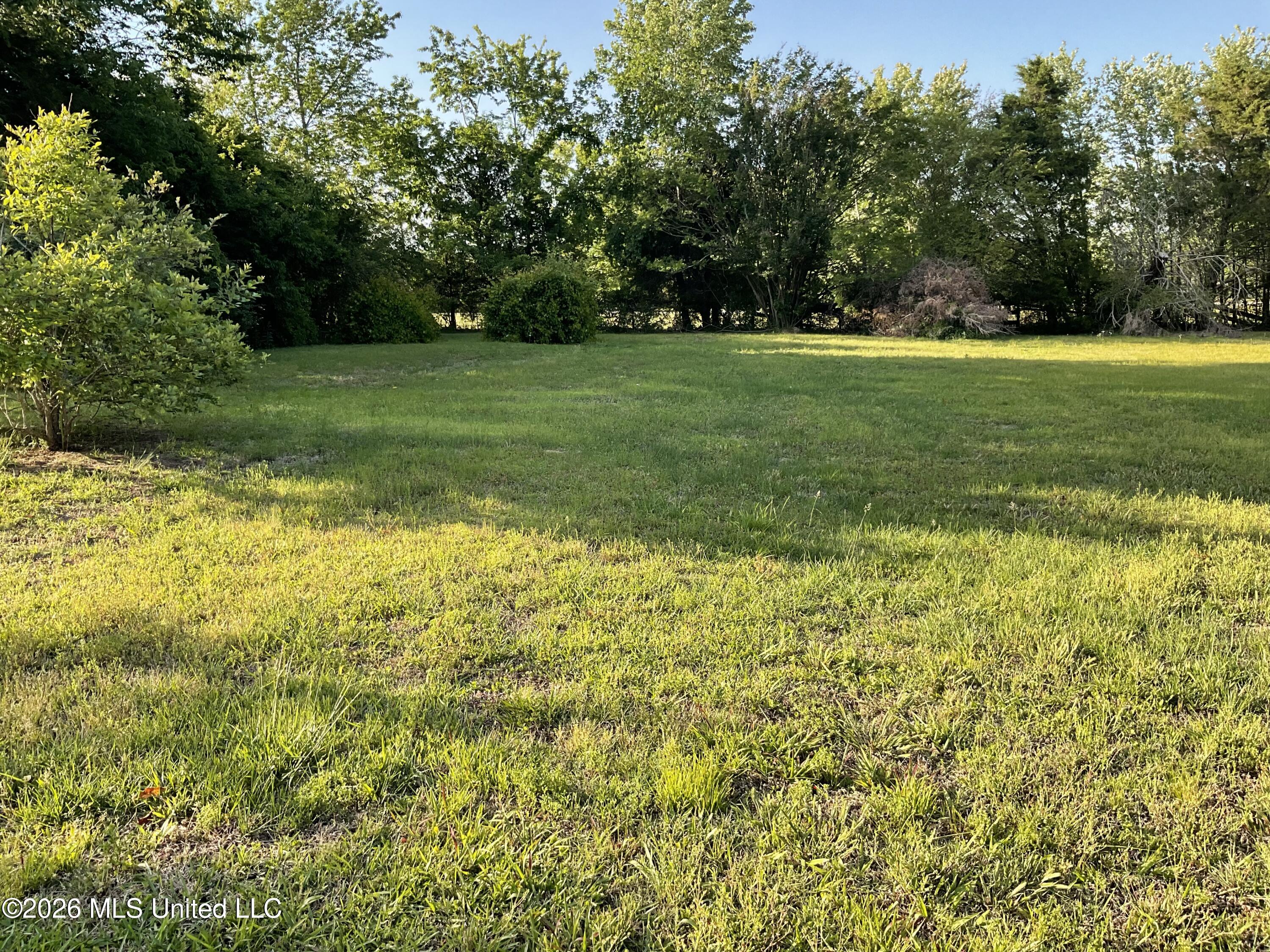 615 Early Grove Road Lamar, MS 38642 - Photo 59 of 61 27FB447F-340A-406F-AA8C-2BBEEC0AD490