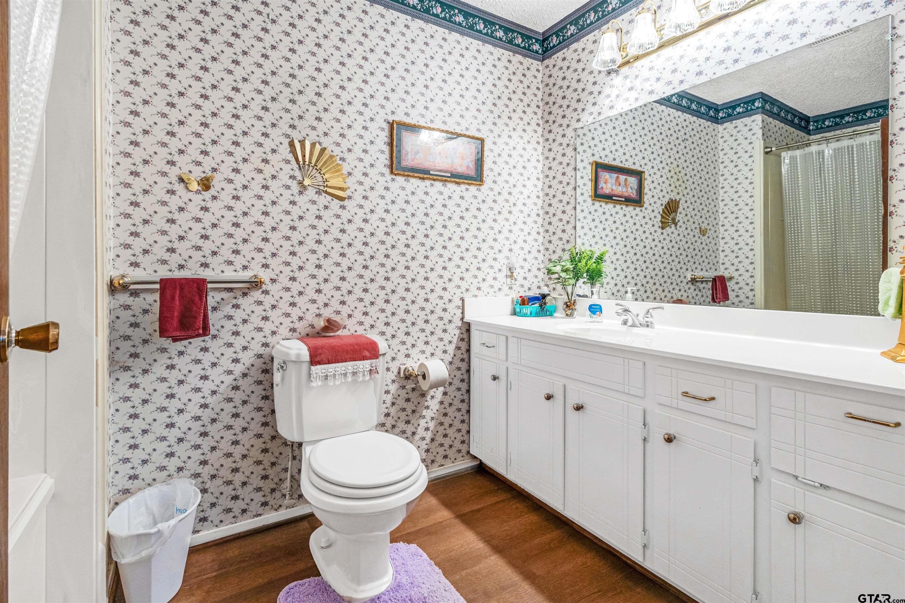 3702 E Highway Quitman, TX 75783 - Photo 24 of 33 a bathroom with a toilet a sink and a mirror