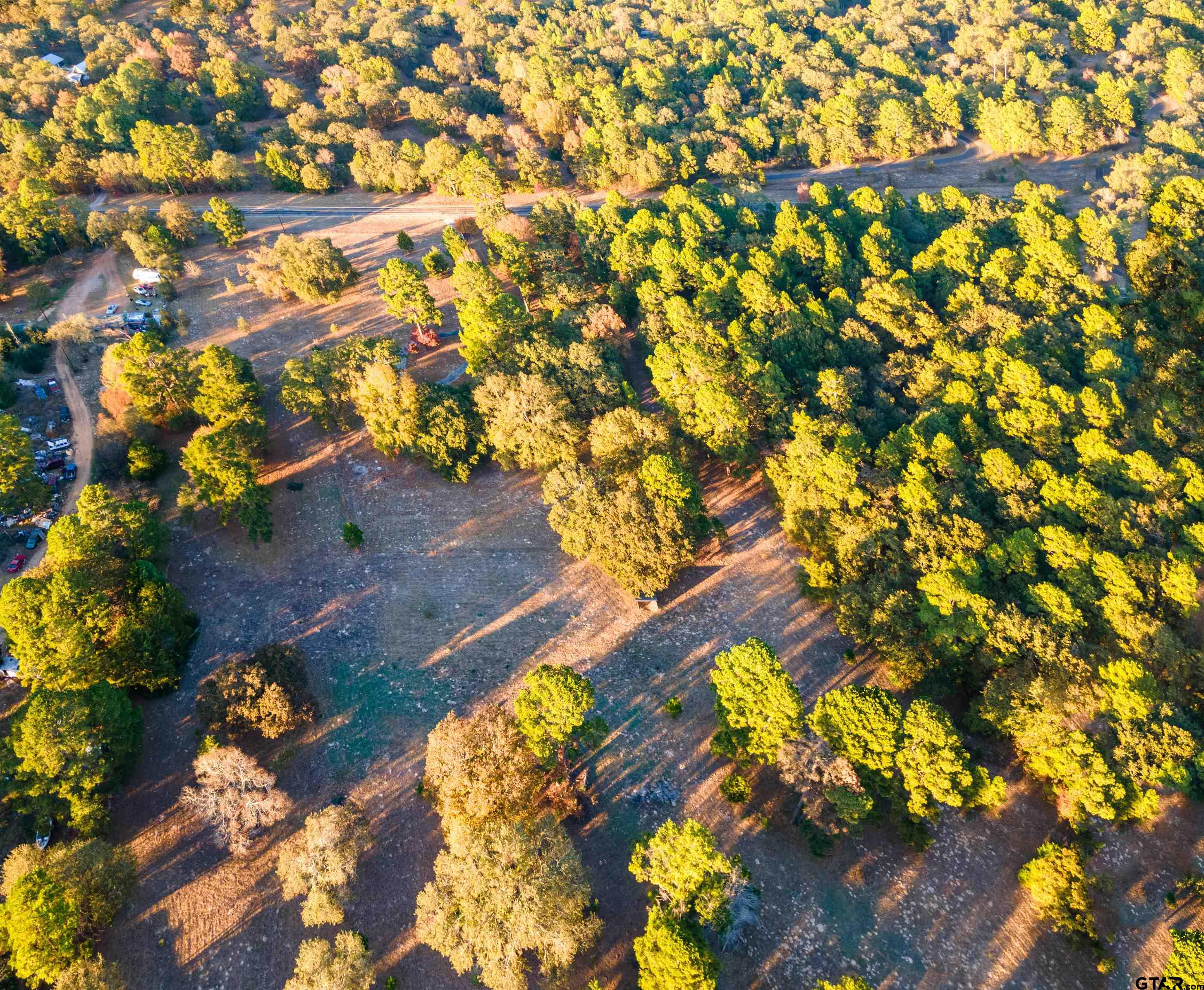 3702 E Highway Quitman, TX 75783 - Photo 33 of 33 a picture of tree