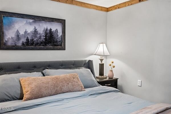814 Gnatty Branch Road Sevierville, TN 37876 - Photo 22 of 30 Gallery Image 22