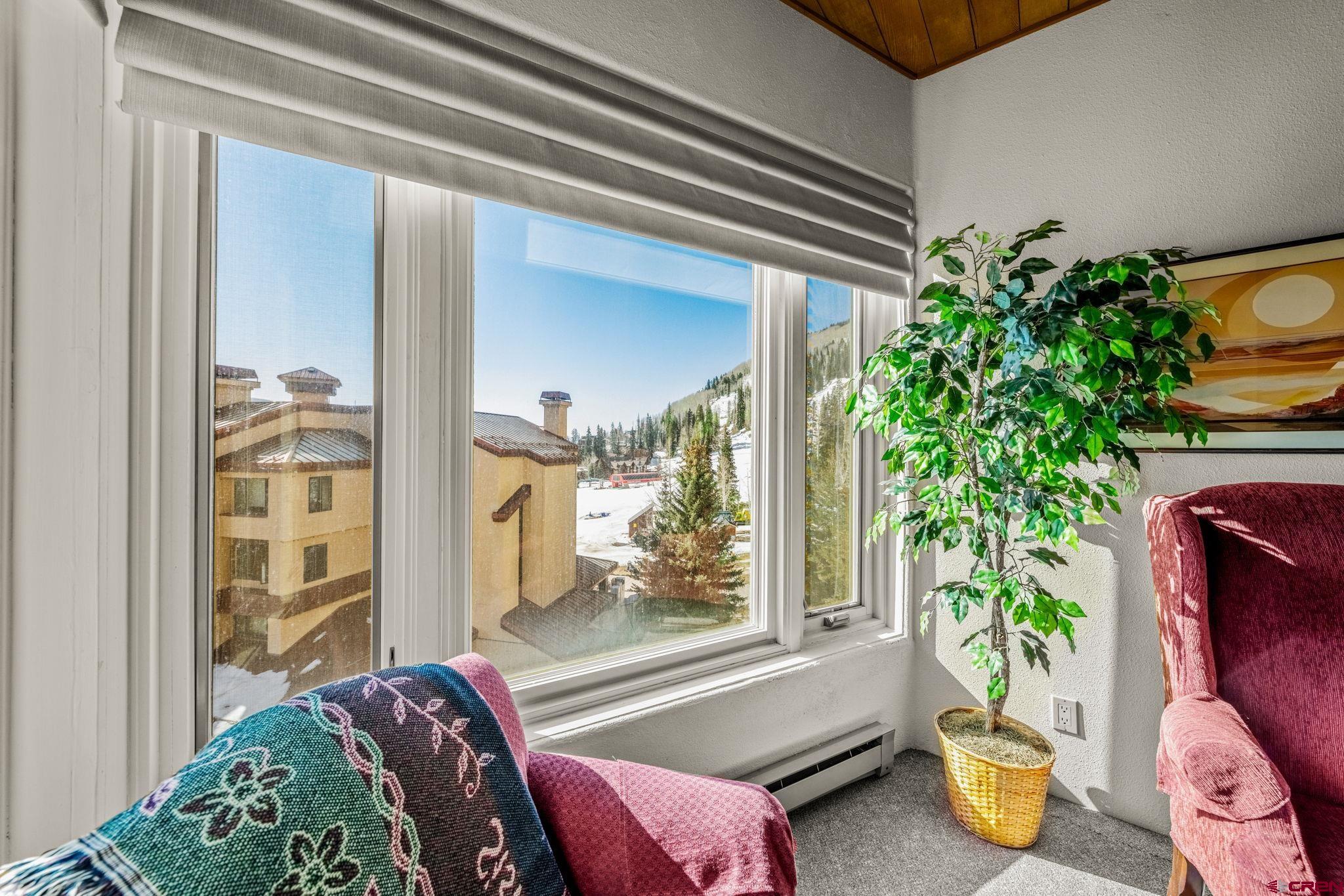 117 Needles Way, Unit 528 Durango, CO 81301 - Photo 20 of 41 a living room filled with furniture and a potted plant