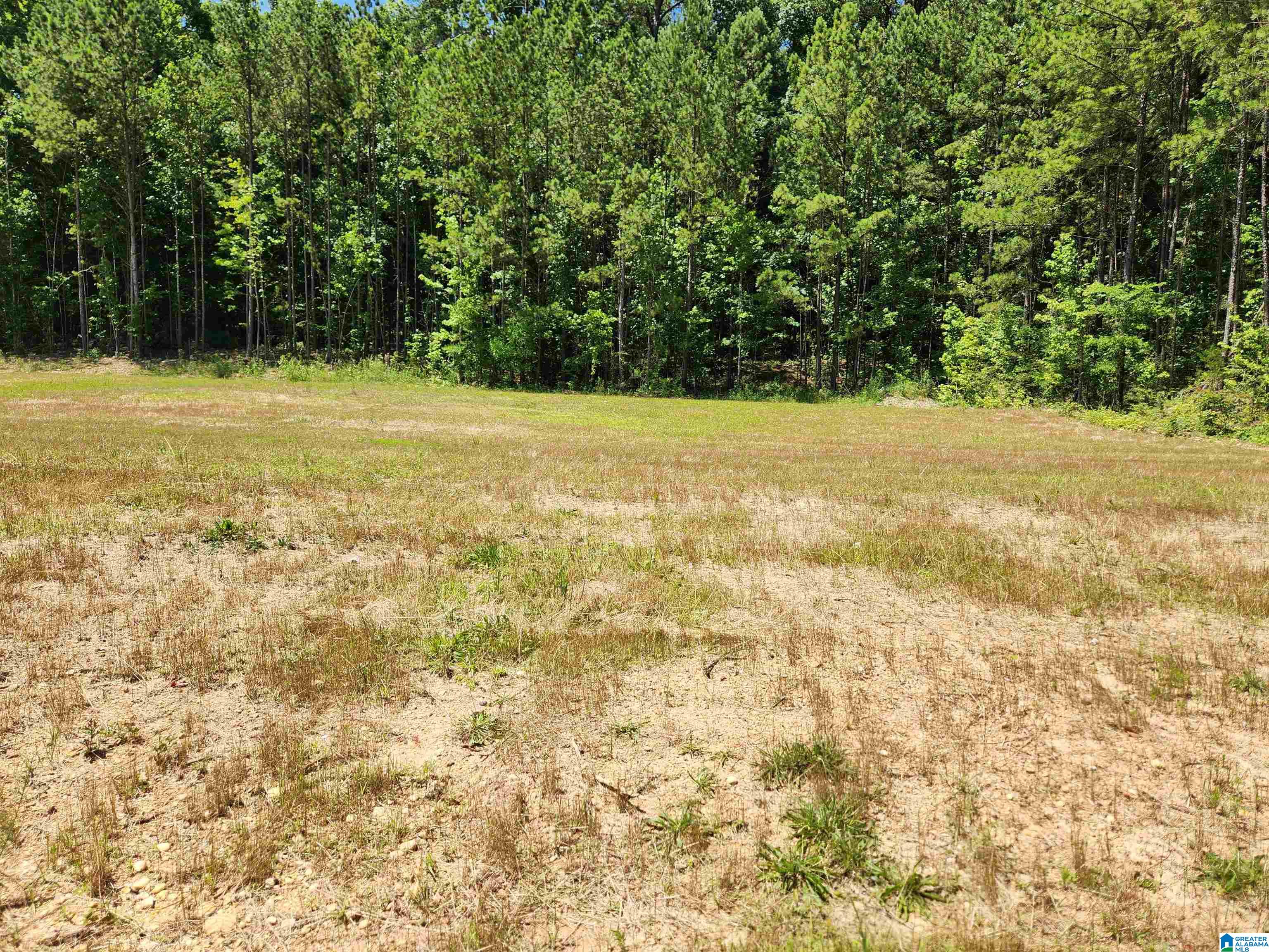 920 Shipley Road, Unit 3 Anniston, AL 36205 - Photo 6 of 9