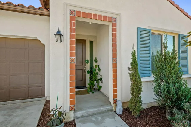 a view of potted plants in front of door