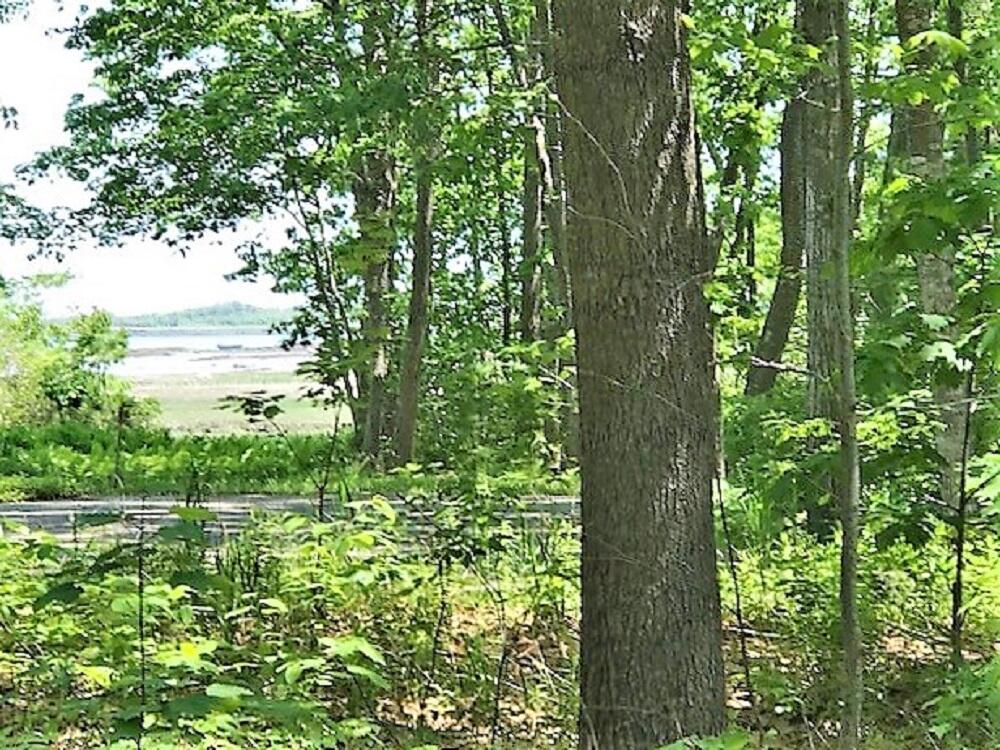 43 Mills Road Kennebunkport, ME 04046 - Photo 2 of 43 Views of Sampsons Cove from en Garden