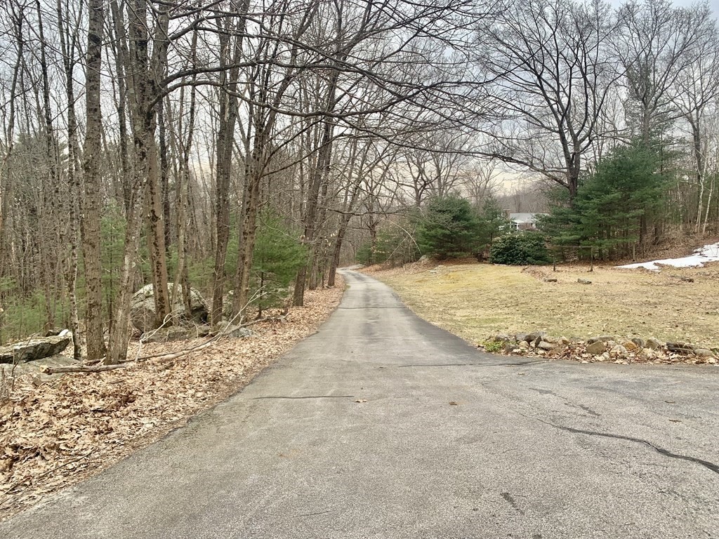 35 John Gilbert Road West Brookfield, MA 01585 - Photo 5 of 35 a view of dirt yard with a large tree