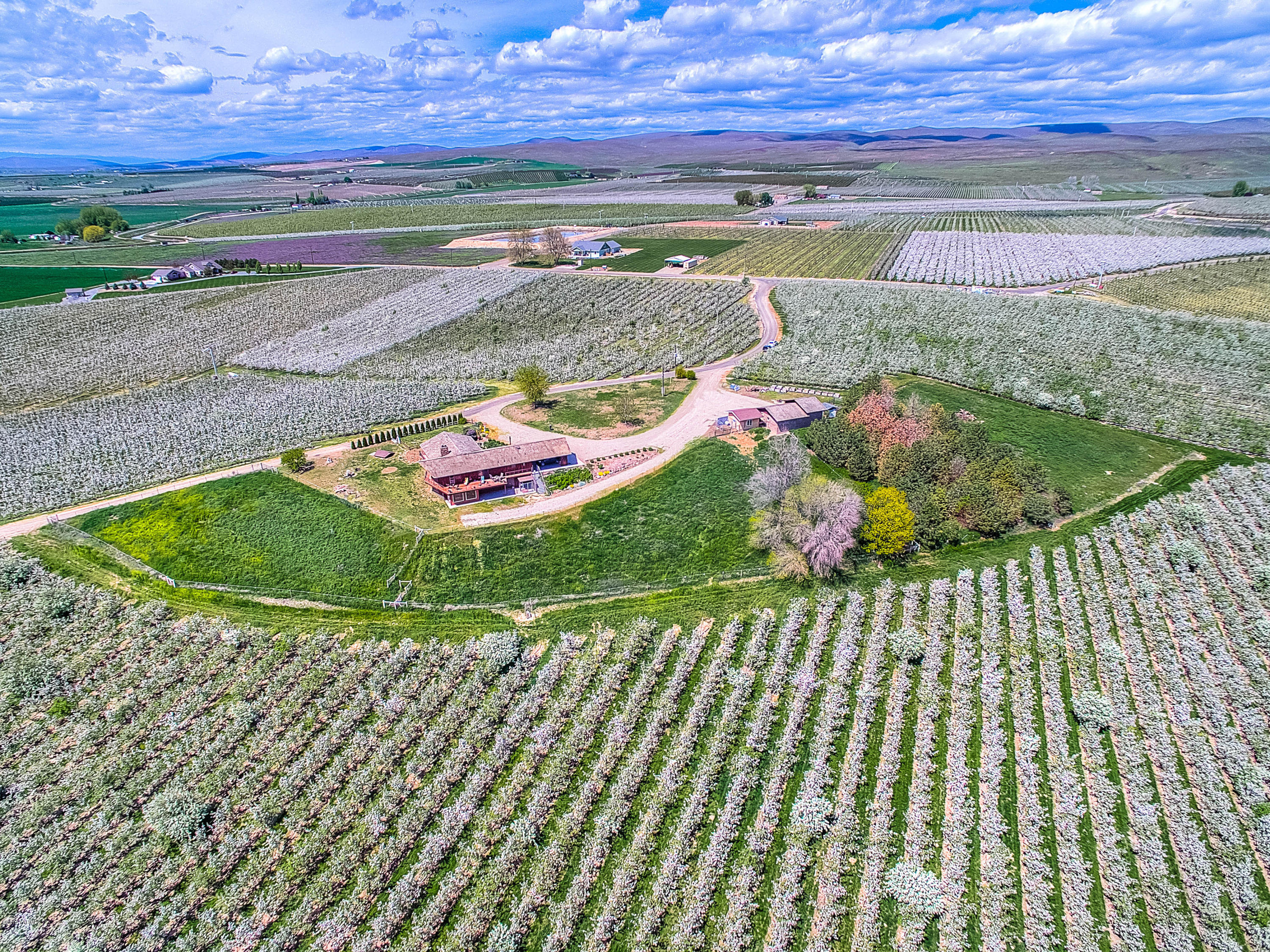 600 Cornue Road Zillah, WA 98953 - Photo 30 of 33 a view of a garden with an outdoor space