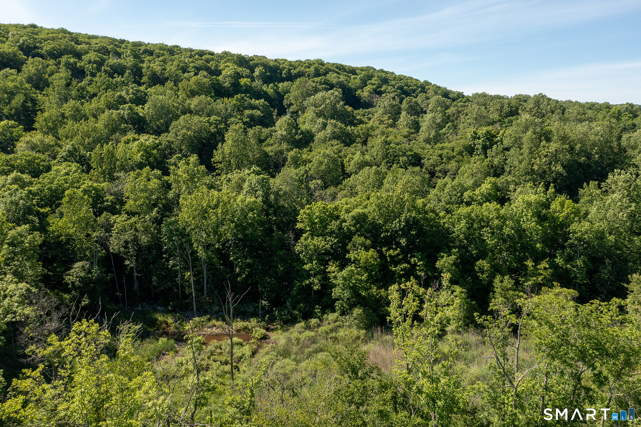 Bullymuck Road New Milford, CT 06776 - Photo 9 of 13