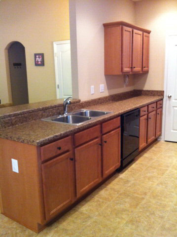 10183 Fionn Loop Daphne, AL 36526 - Photo 6 of 15 Kitchen