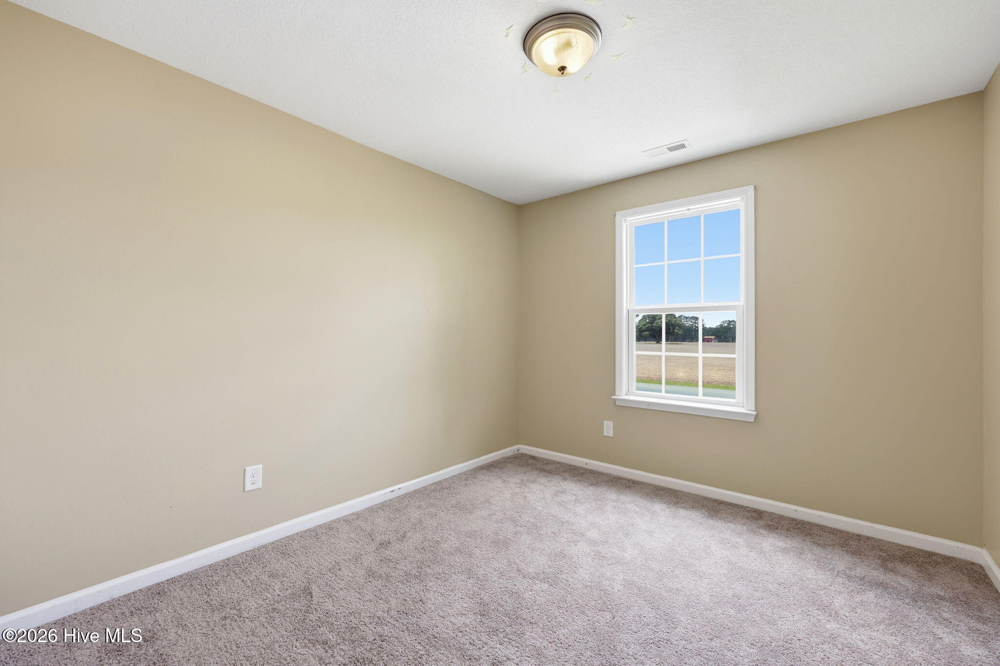 250 West Lake Road Raeford, NC 28376 - Photo 18 of 31 39-web-or-mls-IMG_3117