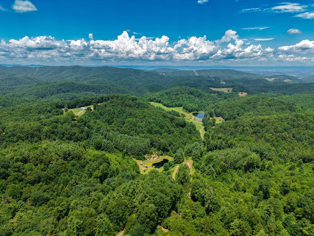 Tbd Tbd Little Vine Road Hillsville, VA 24343 - Photo 1 of 43 Gallery Image 1