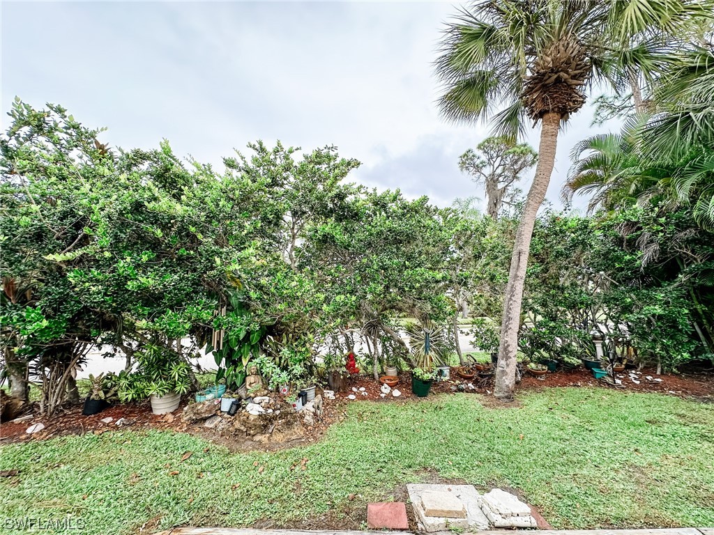 10849 Barred Owl Circle, Unit 25 Estero, FL 33928 - Photo 18 of 24 a backyard of a house with lots of green space