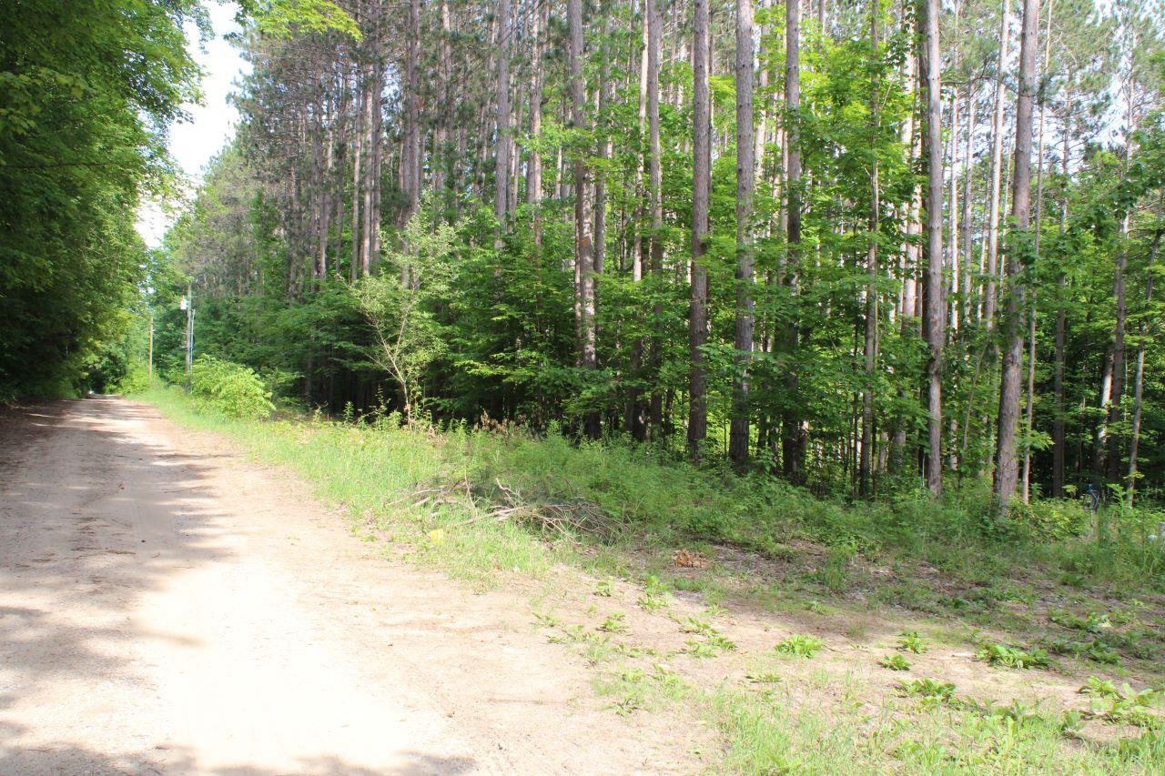 2750 Apple Creek Road Kalkaska, MI 49646 - Photo 23 of 24