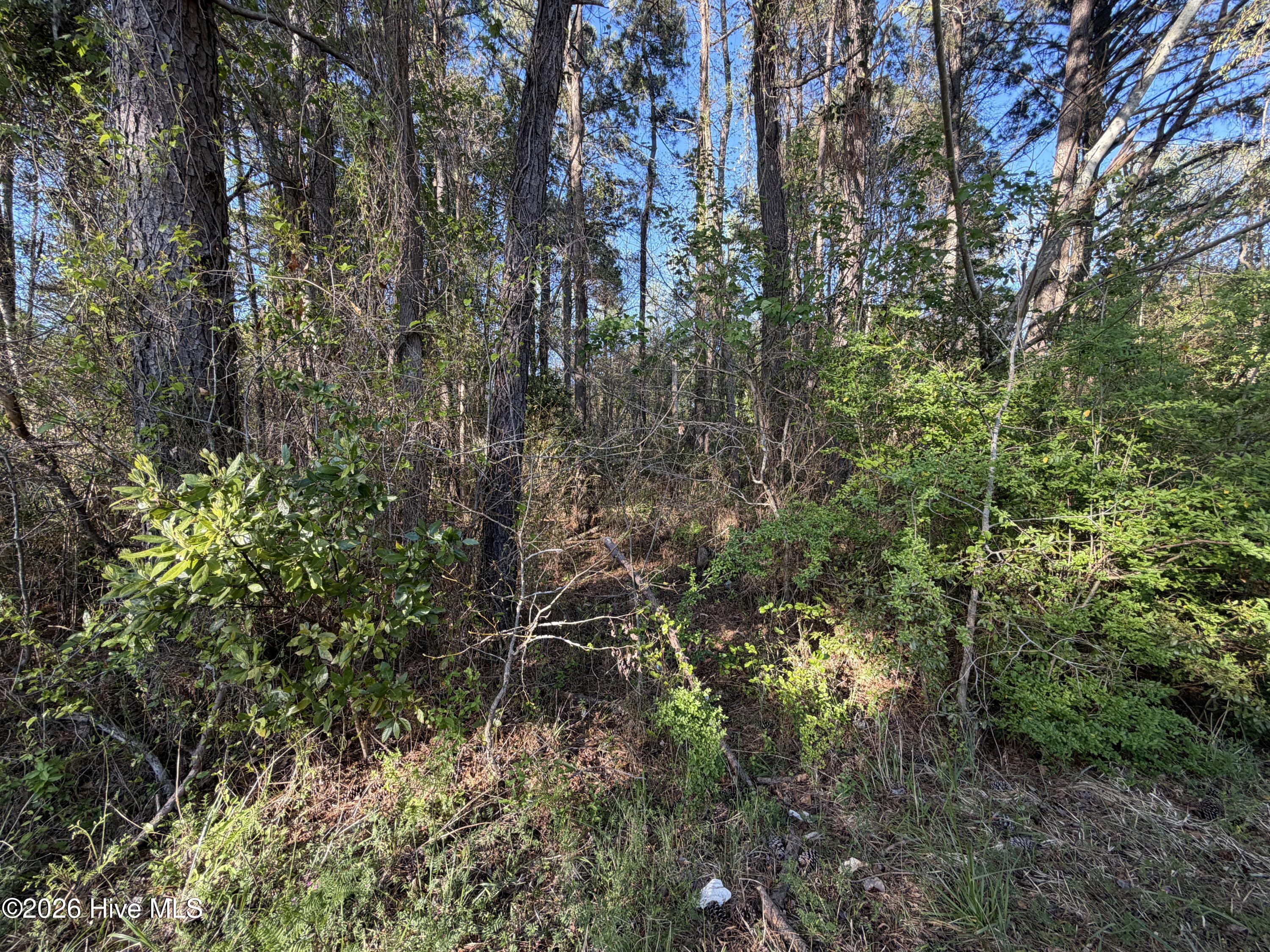 0 McGowan Road Jacksonville, NC 28540 - Photo 6 of 9