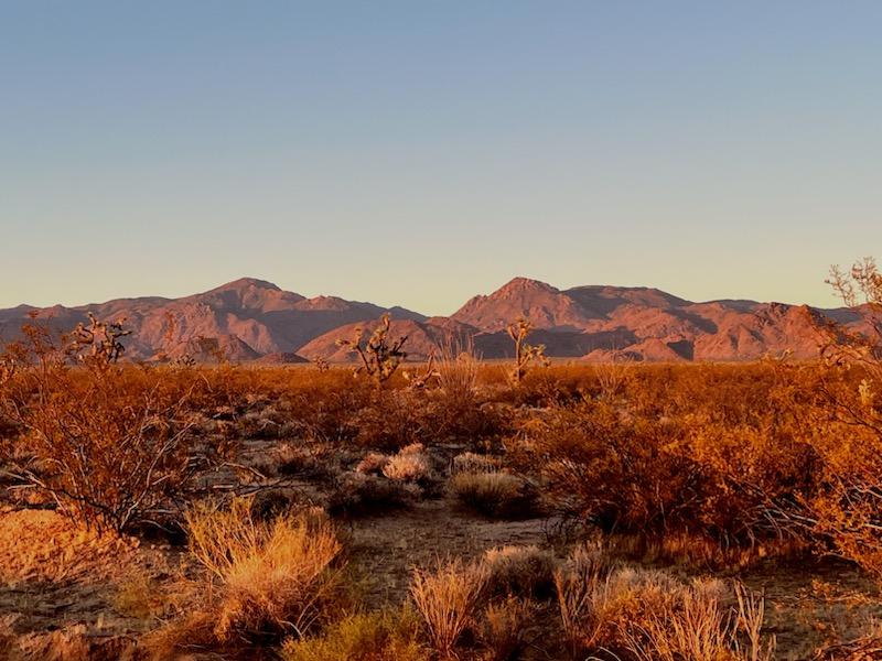 223-30-009 South Sundance Kid Road Yucca, AZ 86438 - Photo 1 of 13