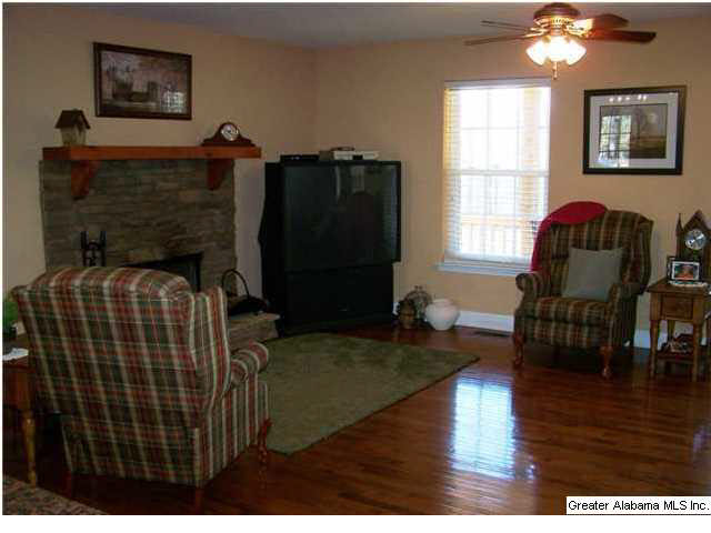 236 County Road 910 Delta, AL 36258 - Photo 13 of 27