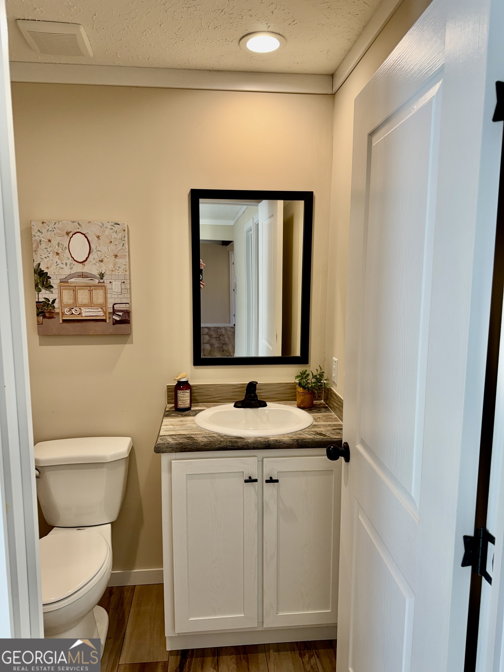 433 B C Grant Road Alto, GA 30510 - Photo 22 of 23 a bathroom with a granite countertop toilet sink and mirror