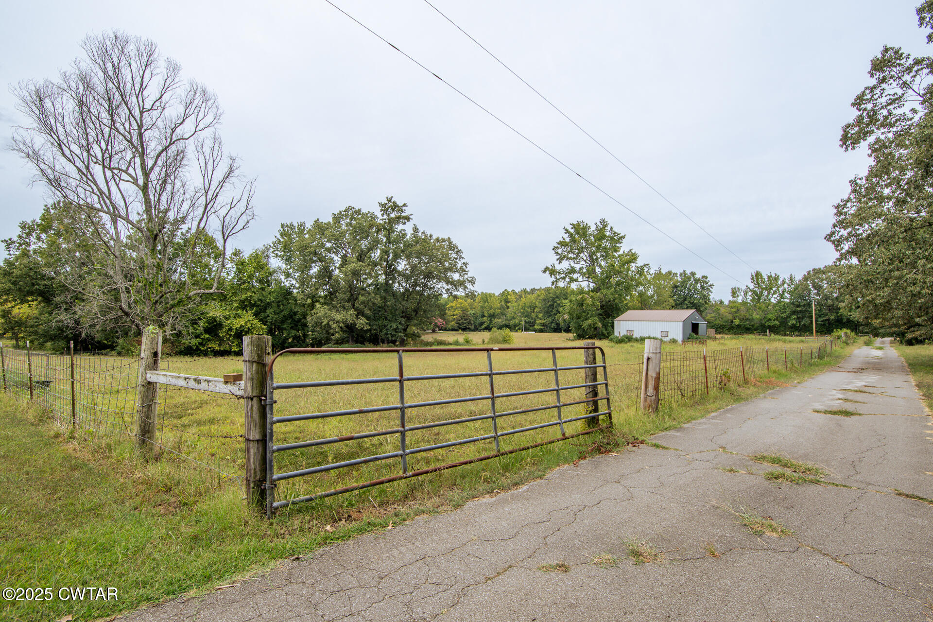 3554 Shades Bridge Road Greenfield, TN 38230 - Photo 42 of 49 a view of a lake view