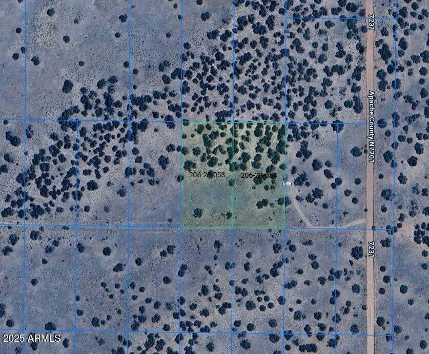 a bathroom with a bathtub and a shower curtain