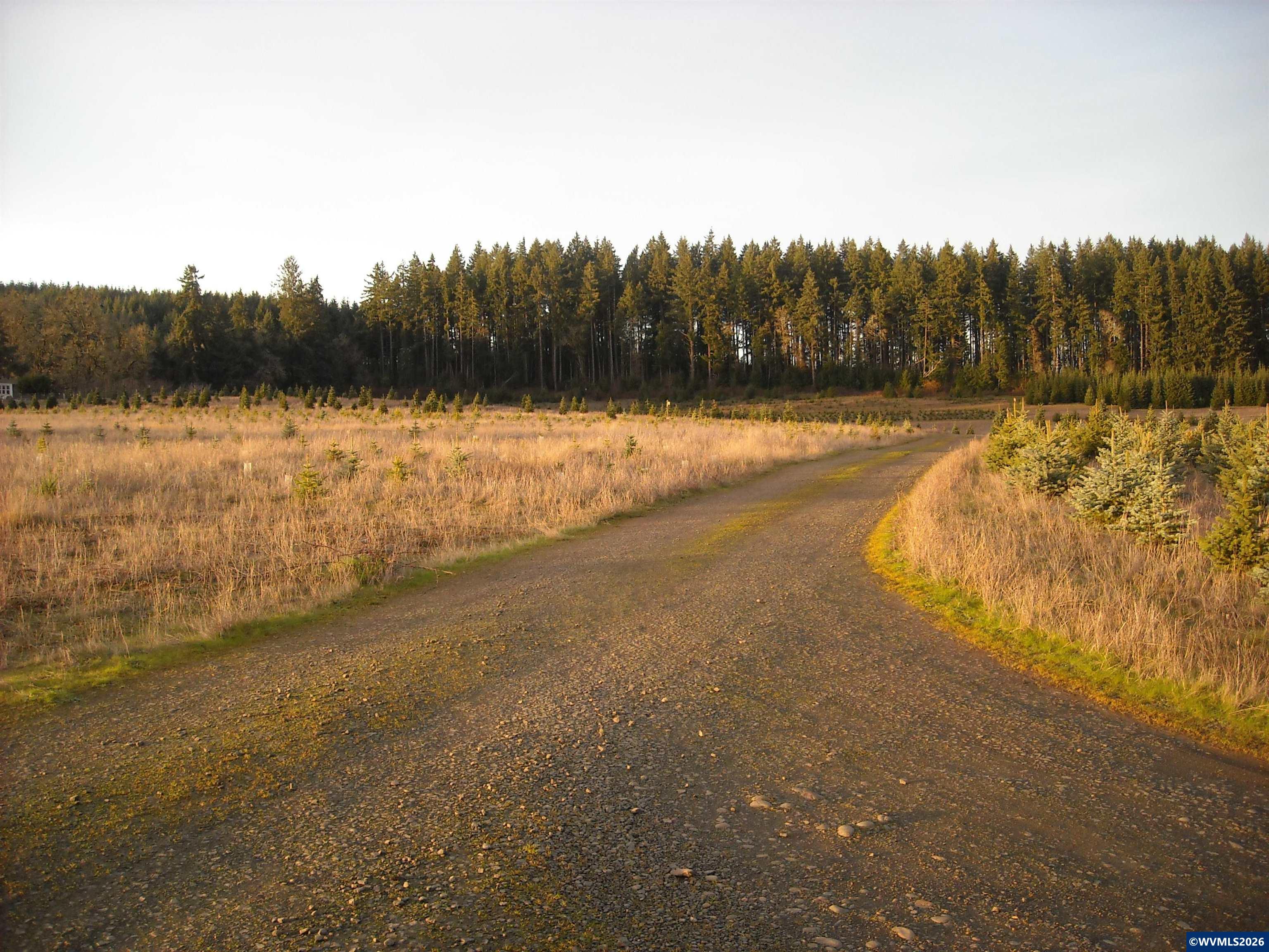 26191 Bruce Road Monroe, OR 97456 - Photo 18 of 27