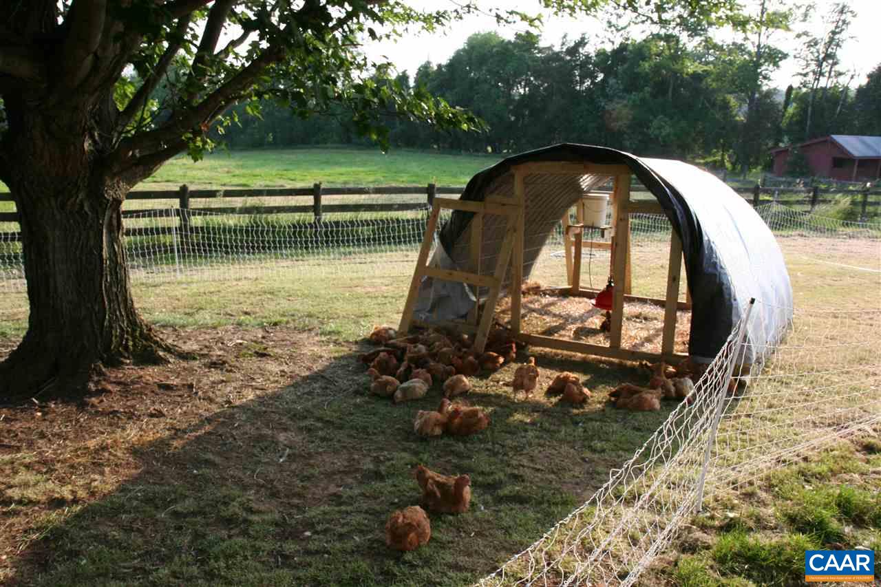 3099 Leon Road Culpeper, VA 22701 - Photo 33 of 33 Chicken Coop