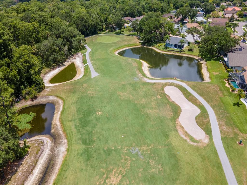 9703 Springmeadow Drive New Port Richey, FL 34655 - Photo 72 of 78 Gallery Image 72