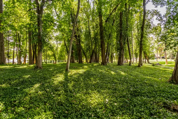 $995,000 | 558 East 82nd Street, Indianapolis, IN 46240