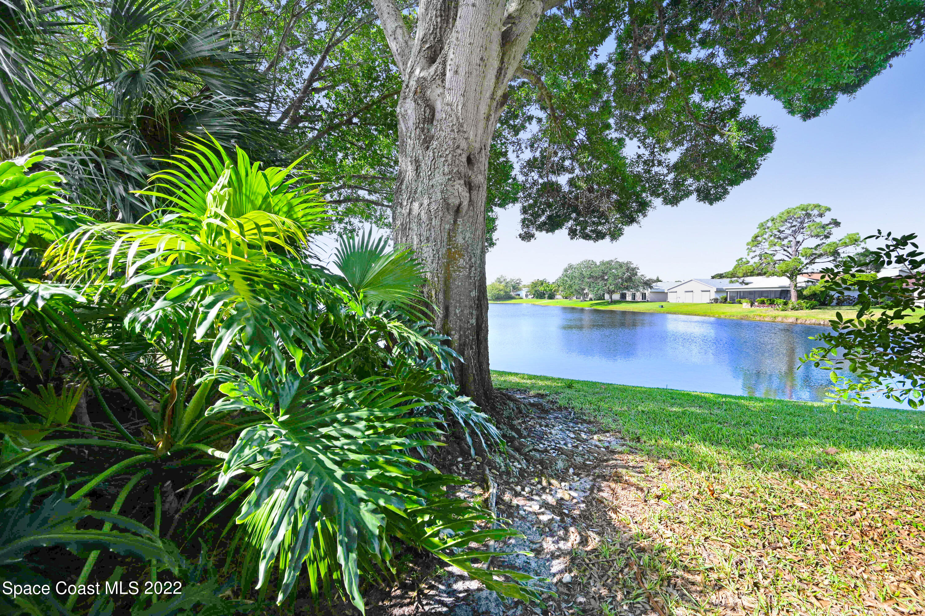 373 Myrtlewood Road Melbourne, FL 32940 - Photo 38 of 42 a view of a garden with plants and a bench