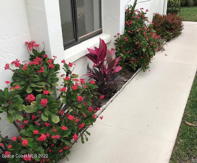 373 Myrtlewood Road Melbourne, FL 32940 - Photo 41 of 42 a flower view