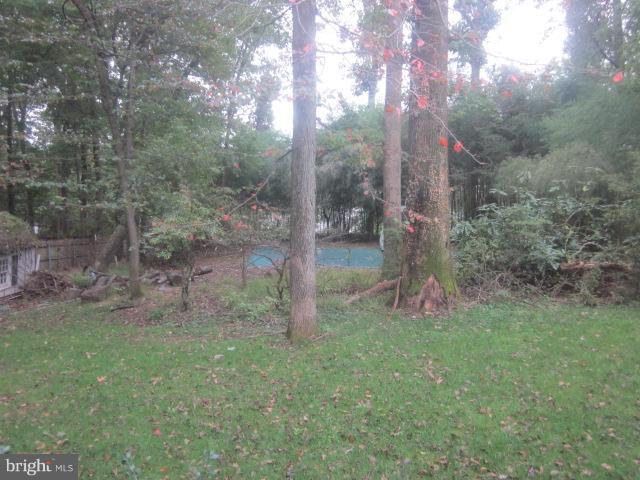 406 Hermleigh Road Silver Spring, MD 20902 - Photo 15 of 15 Backyard / Pool