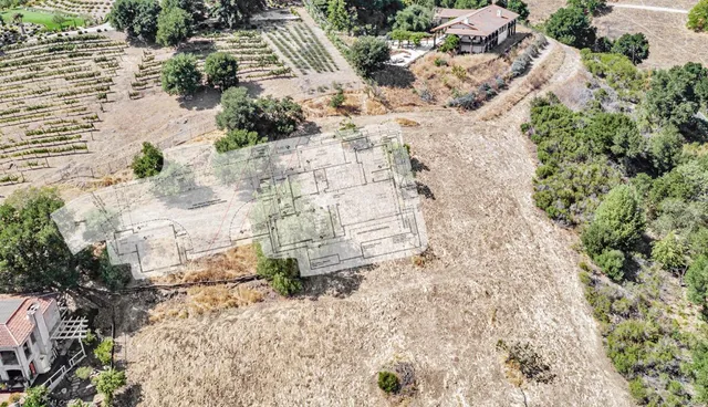 a view of a pathway with plants